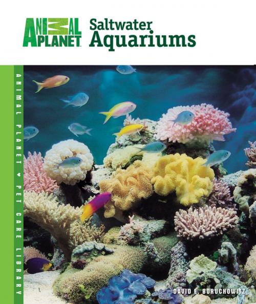 Cover of the book Setup & Care of Saltwater Aquariums by David E. Boruchowitz, TFH Publications, Inc.