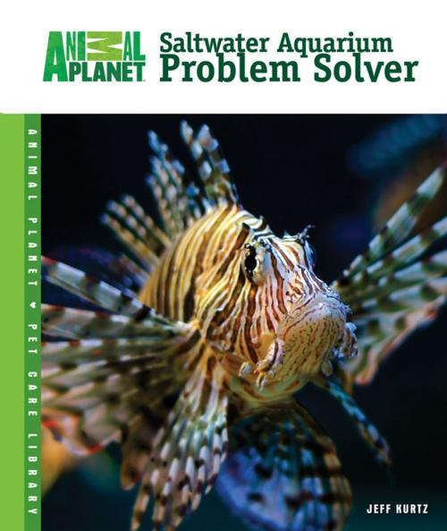 Cover of the book Saltwater Aquarium Problem Solver by Jeff Kurtz, TFH Publications, Inc.