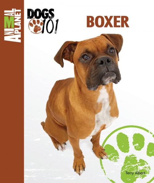 Cover of the book Boxer by Terry Albert, TFH Publications, Inc.