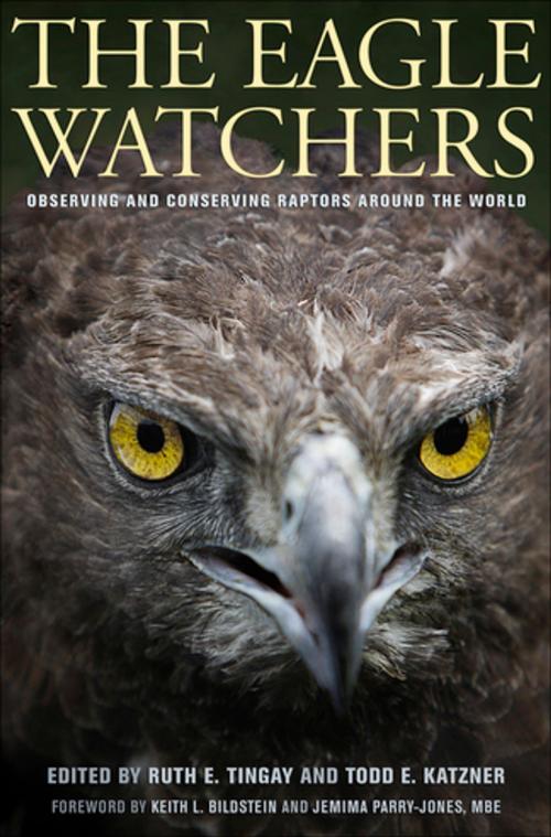 Cover of the book The Eagle Watchers by , Cornell University Press