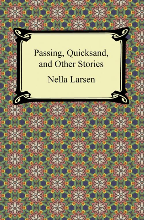 Cover of the book Passing, Quicksand, and Other Stories by Nella Larsen, Neeland Media LLC