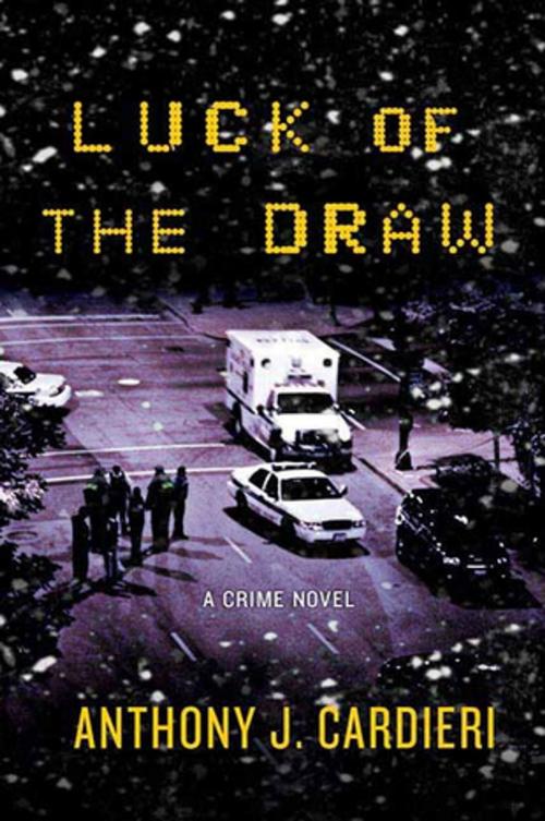 Cover of the book Luck of the Draw by Anthony J. Cardieri, St. Martin's Press