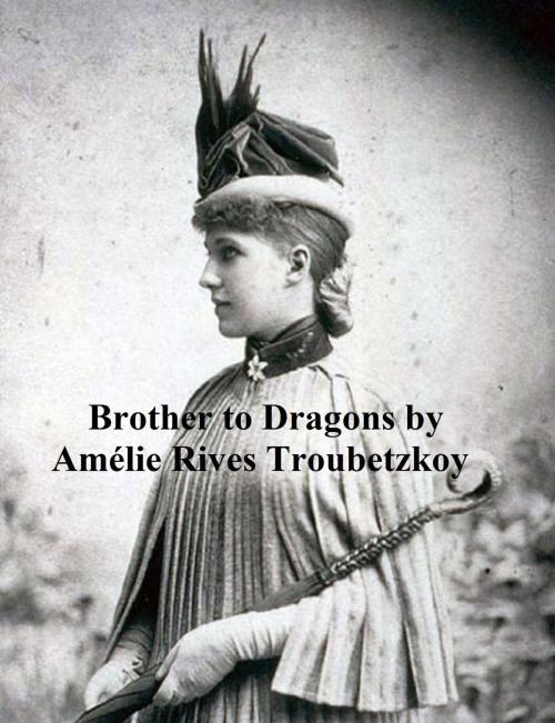 Cover of the book A Brother to Dragons and Other Old-Time Tales by Amelie Rives, Seltzer Books