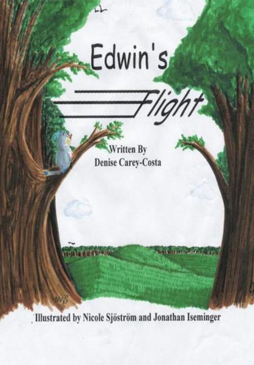 Cover of the book Edwin's Flight by Denise Carey-Costa, Trafford Publishing