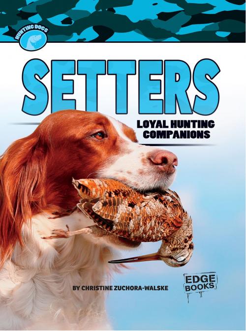 Cover of the book Setters by Christine Mae Zuchora-Walske, Capstone