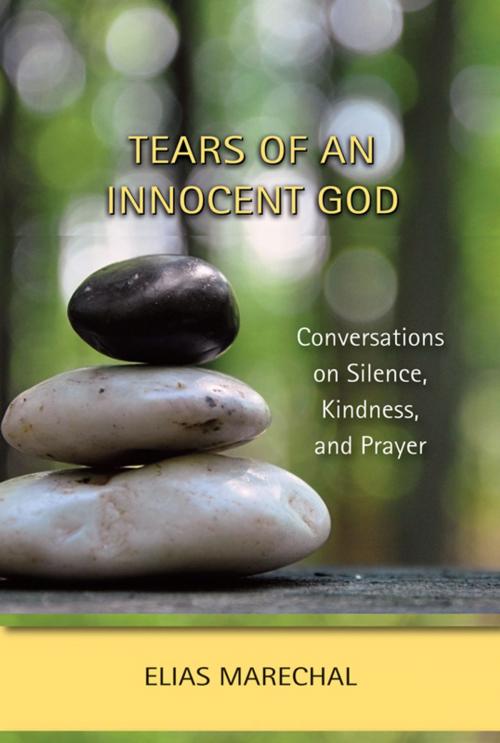 Cover of the book Tears of an Innocent God by Elias Marechal, Paulist Press