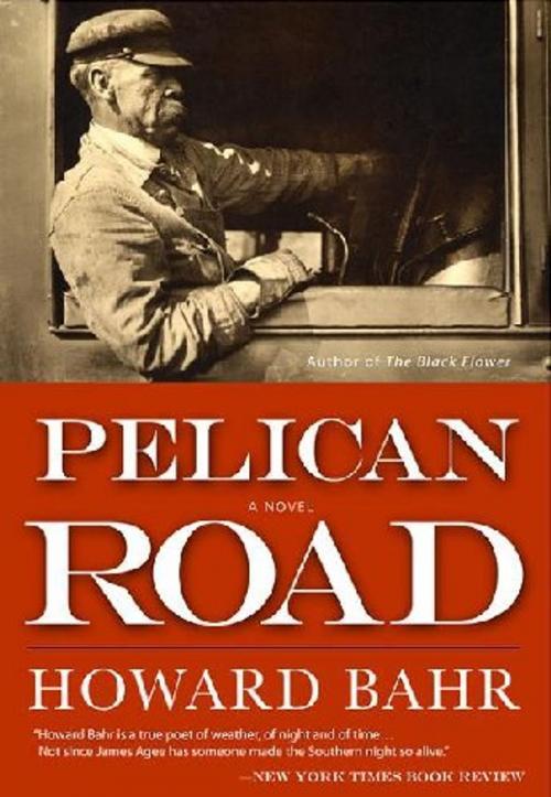 Cover of the book Pelican Road by Howard Bahr, MacAdam/Cage Publishing