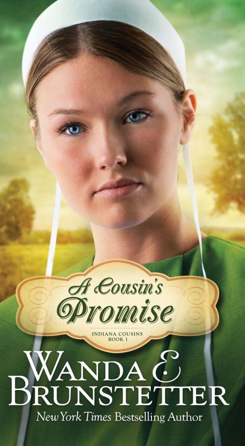 Cover of the book A Cousin's Promise by Wanda E. Brunstetter, Barbour Publishing, Inc.
