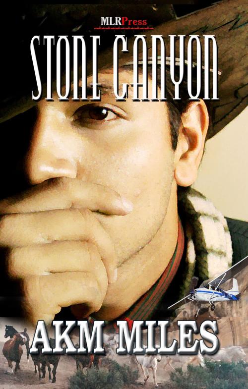 Cover of the book Stone Canyon by A.K.M. Miles, Mlrpress