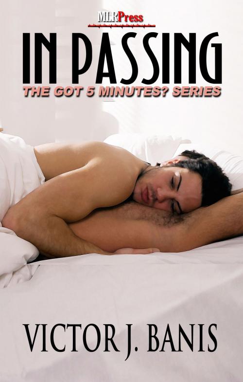 Cover of the book In Passing by Victor J. Banis, Mlrpress