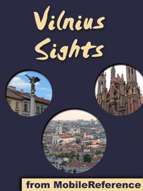 Cover of the book Vilnius Sights by MobileReference, MobileReference