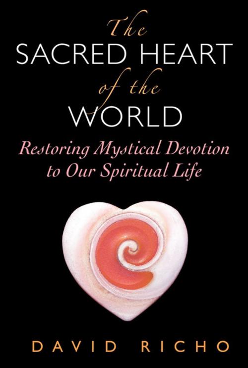 Cover of the book The Sacred Heart of the World by David Richo, Paulist Press