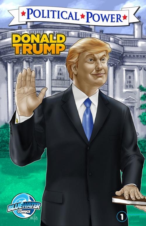 Cover of the book Political Power: Donald Trump by Jerome Maida, StormFront Entertainment