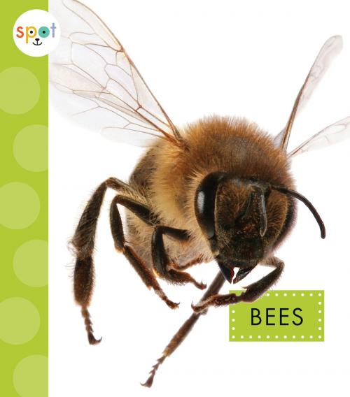 Cover of the book Bees by Nessa Black, Triangle Interactive, LLC.