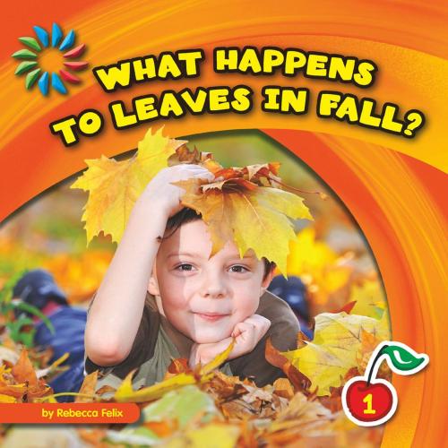 Cover of the book What Happens to Leaves in Fall? by Rebecca Felix, Triangle Interactive, LLC.