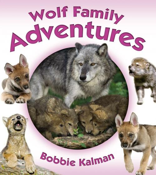 Cover of the book Wolf Family Adventures by Bobbie Kalman, Triangle Interactive, LLC.