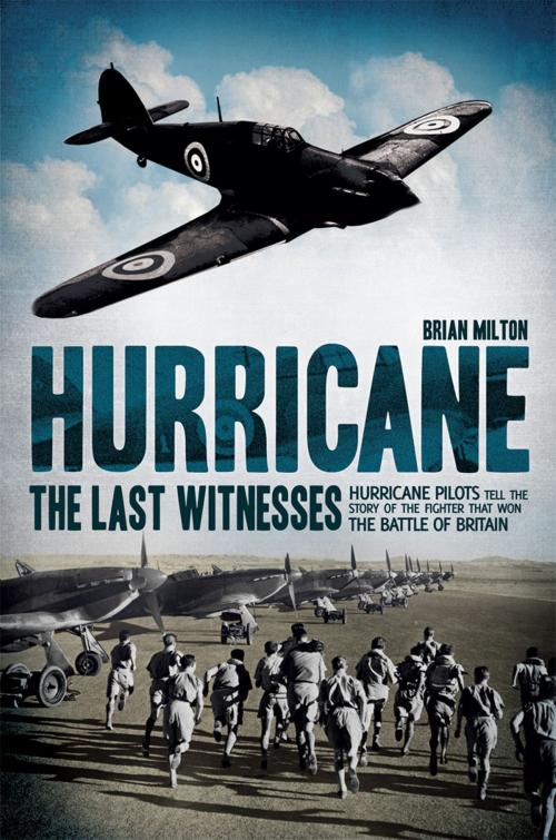 Cover of the book Hurricane by Brain Milton, Carlton Books