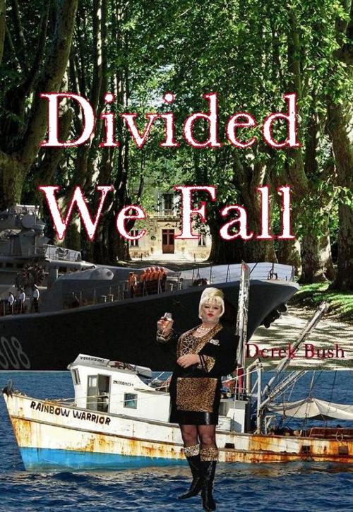Cover of the book Divided We Fall by Derek Bush, MP Publishing