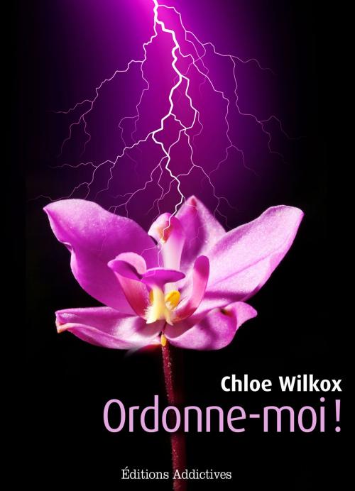 Cover of the book Ordonne-moi ! volume 2 by Chloe Wilcox, Editions addictives