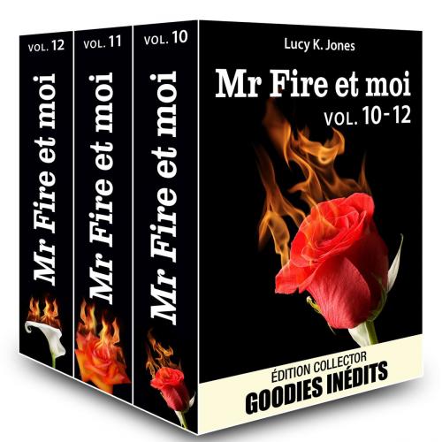 Cover of the book Mr Fire et moi - vol. 10-12 by Lucy K. Jones, Editions addictives