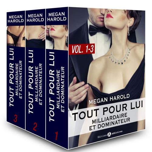 Cover of the book Tout pour lui (Milliardaire et dominateur) vol. 1-3 by Megan Harold, Editions addictives