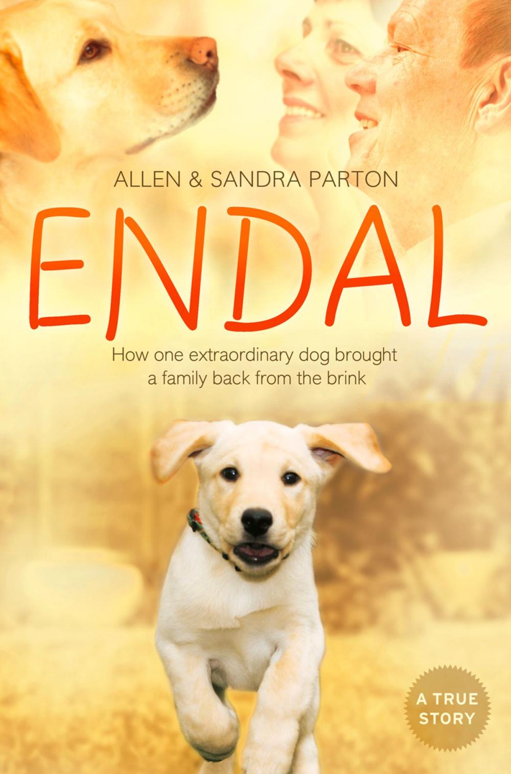 Big bigCover of Endal: How one extraordinary dog brought a family back from the brink
