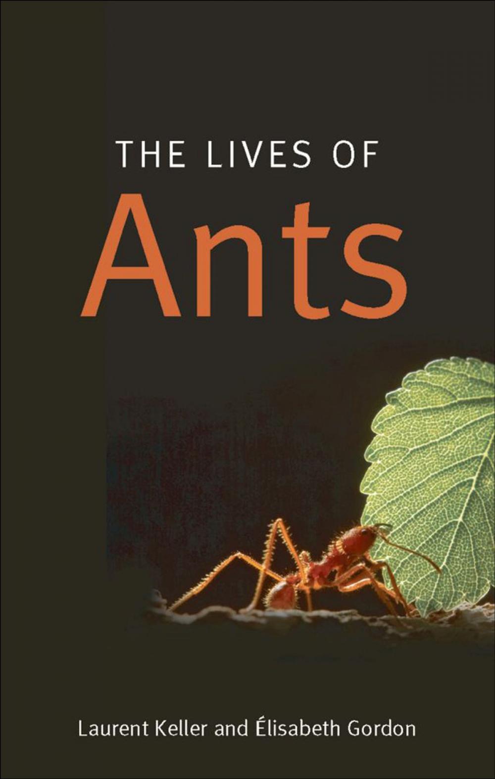 Big bigCover of The Lives of Ants