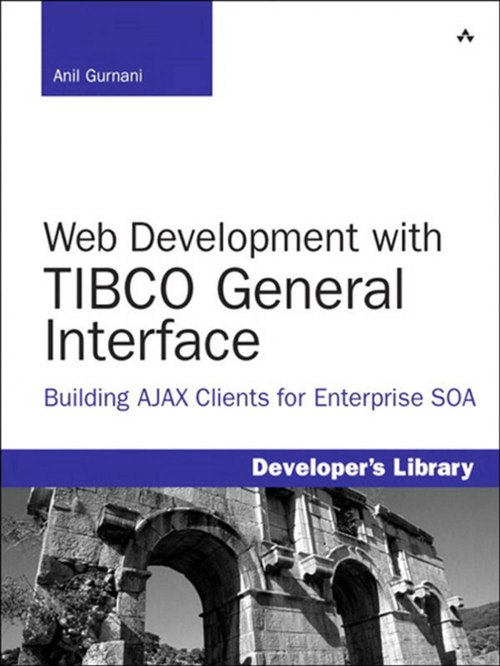 Big bigCover of Web Development with TIBCO General Interface