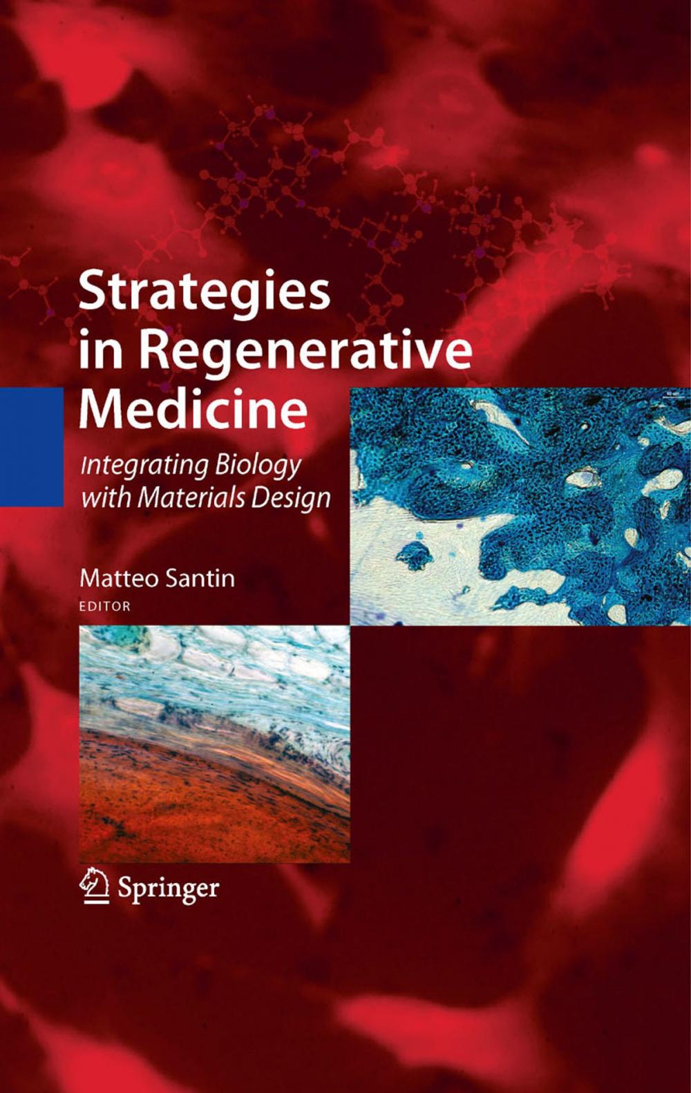 Big bigCover of Strategies in Regenerative Medicine