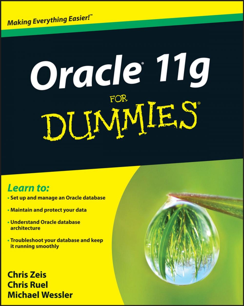 Big bigCover of Oracle 11g For Dummies