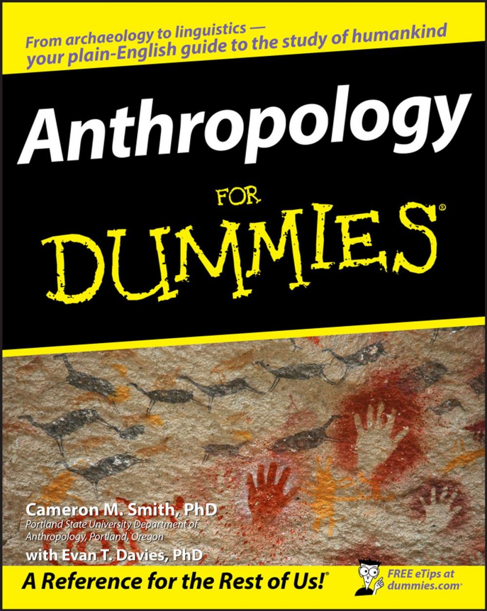 Big bigCover of Anthropology For Dummies