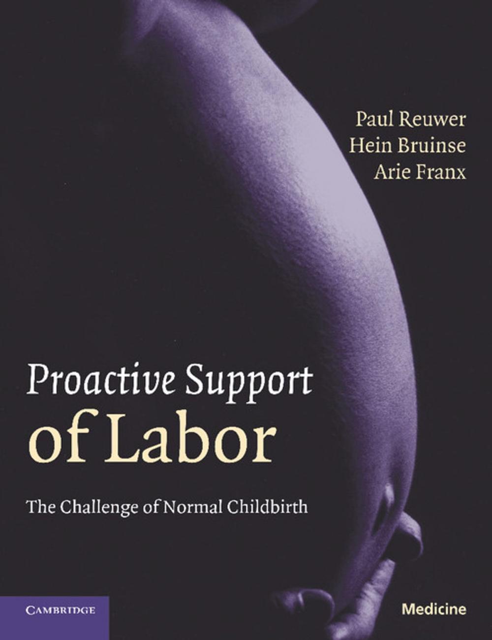 Big bigCover of Proactive Support of Labor