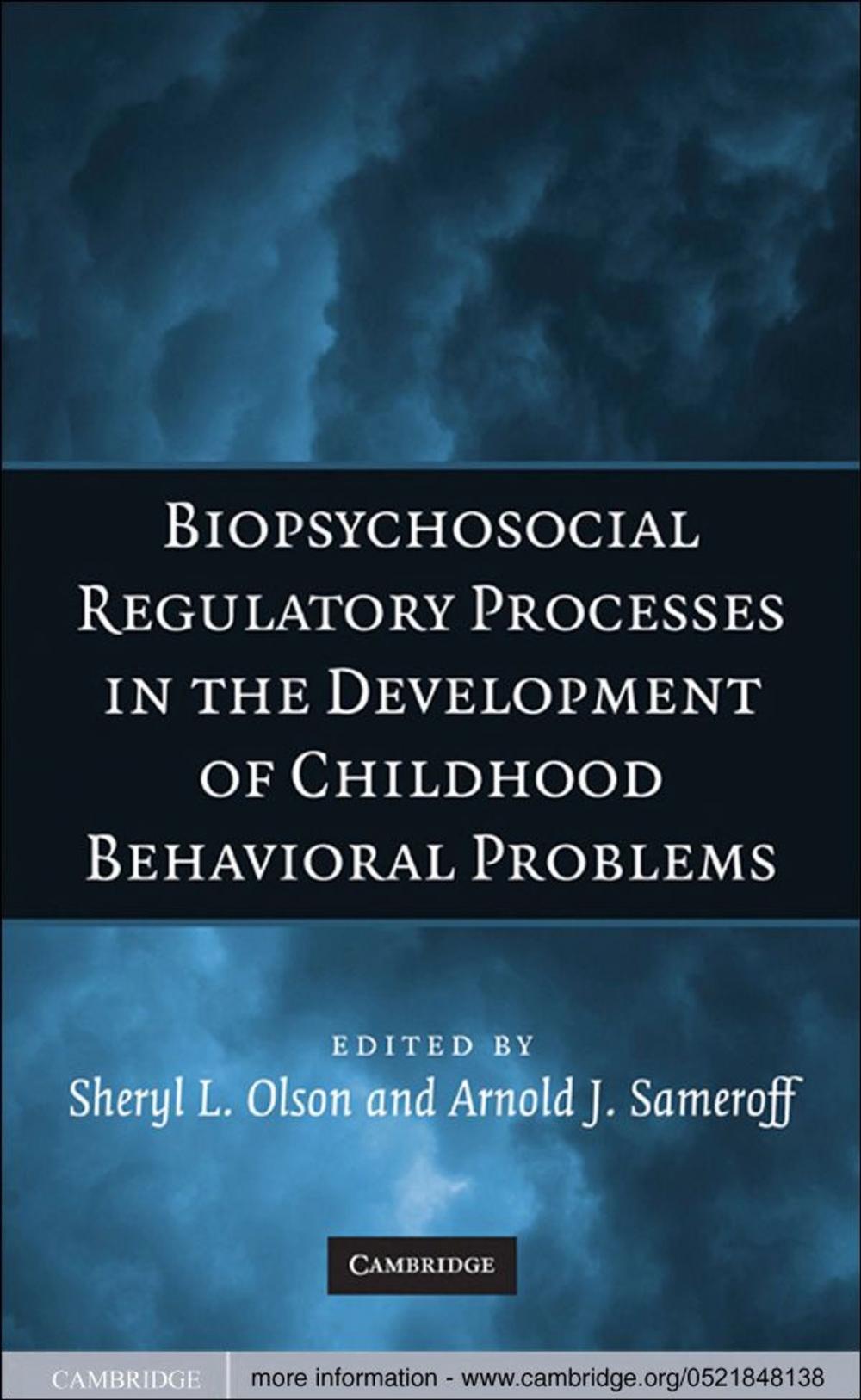 Big bigCover of Biopsychosocial Regulatory Processes in the Development of Childhood Behavioral Problems