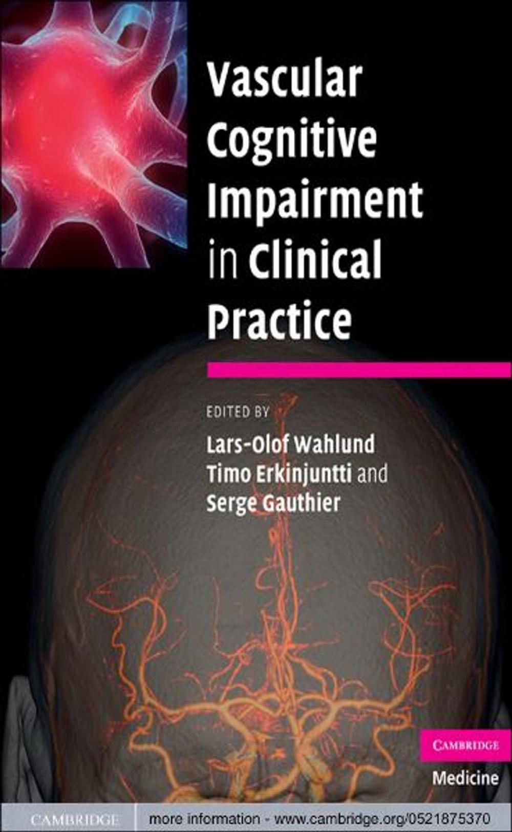 Big bigCover of Vascular Cognitive Impairment in Clinical Practice