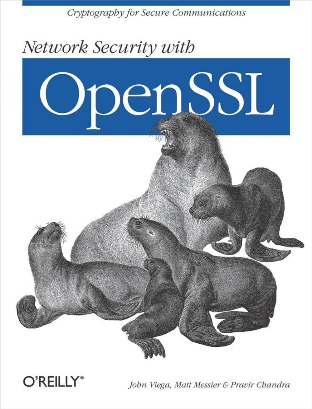 Big bigCover of Network Security with OpenSSL