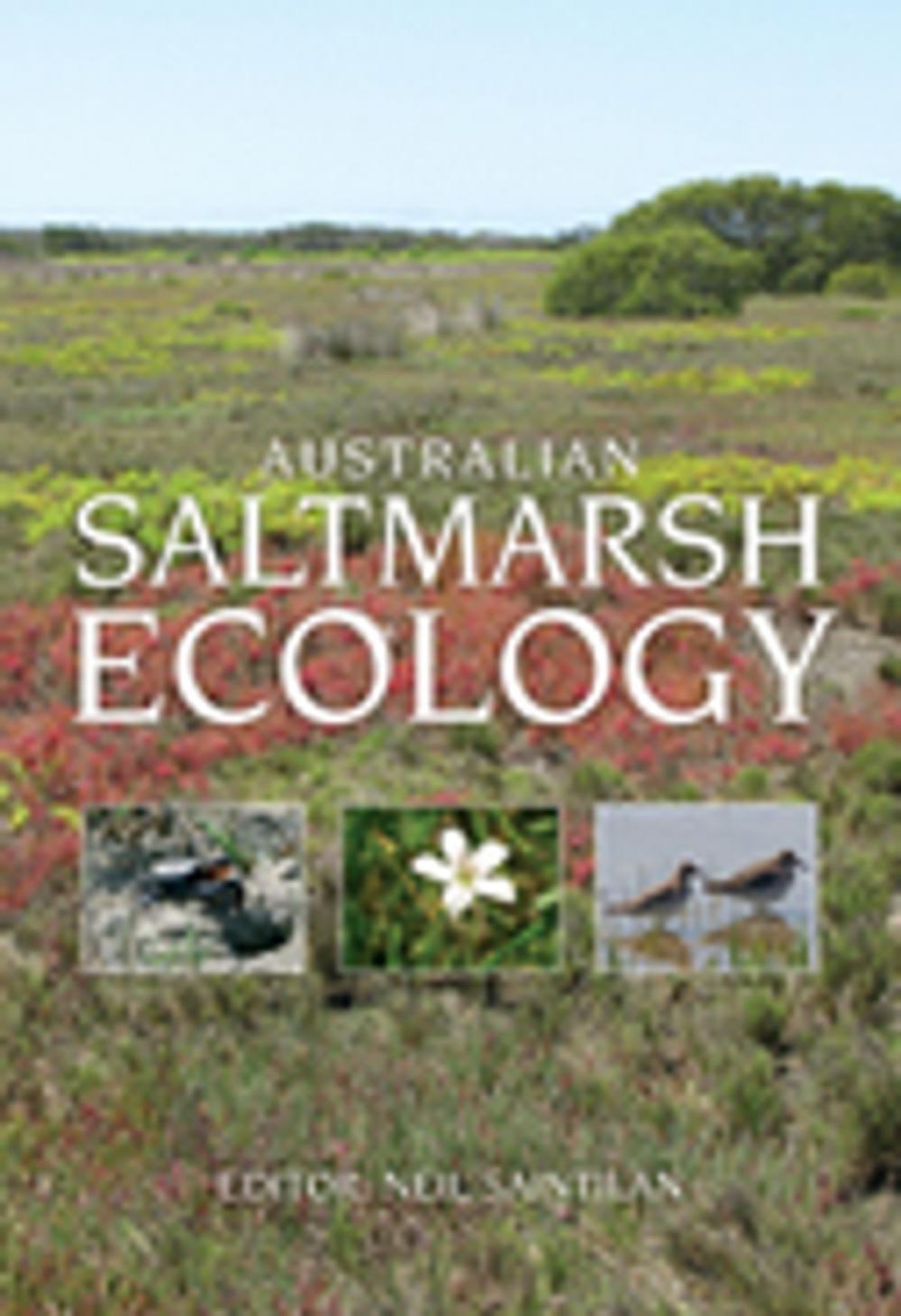 Big bigCover of Australian Saltmarsh Ecology