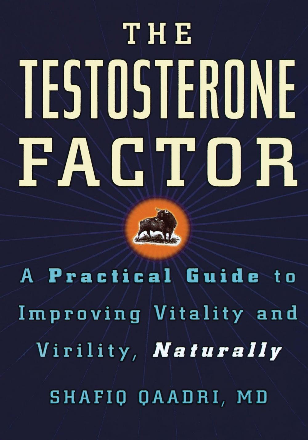 Big bigCover of The Testosterone Factor