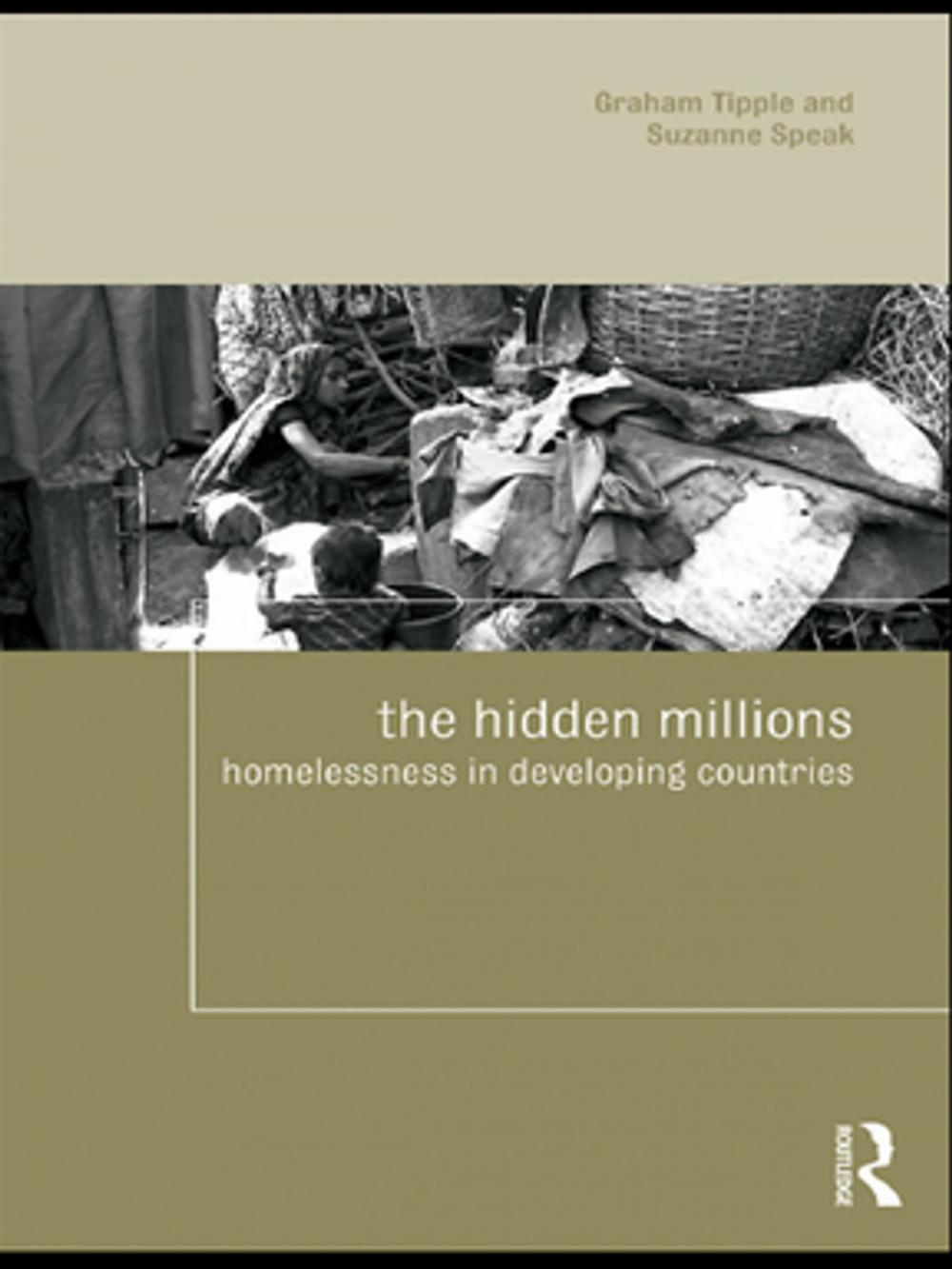 Big bigCover of The Hidden Millions