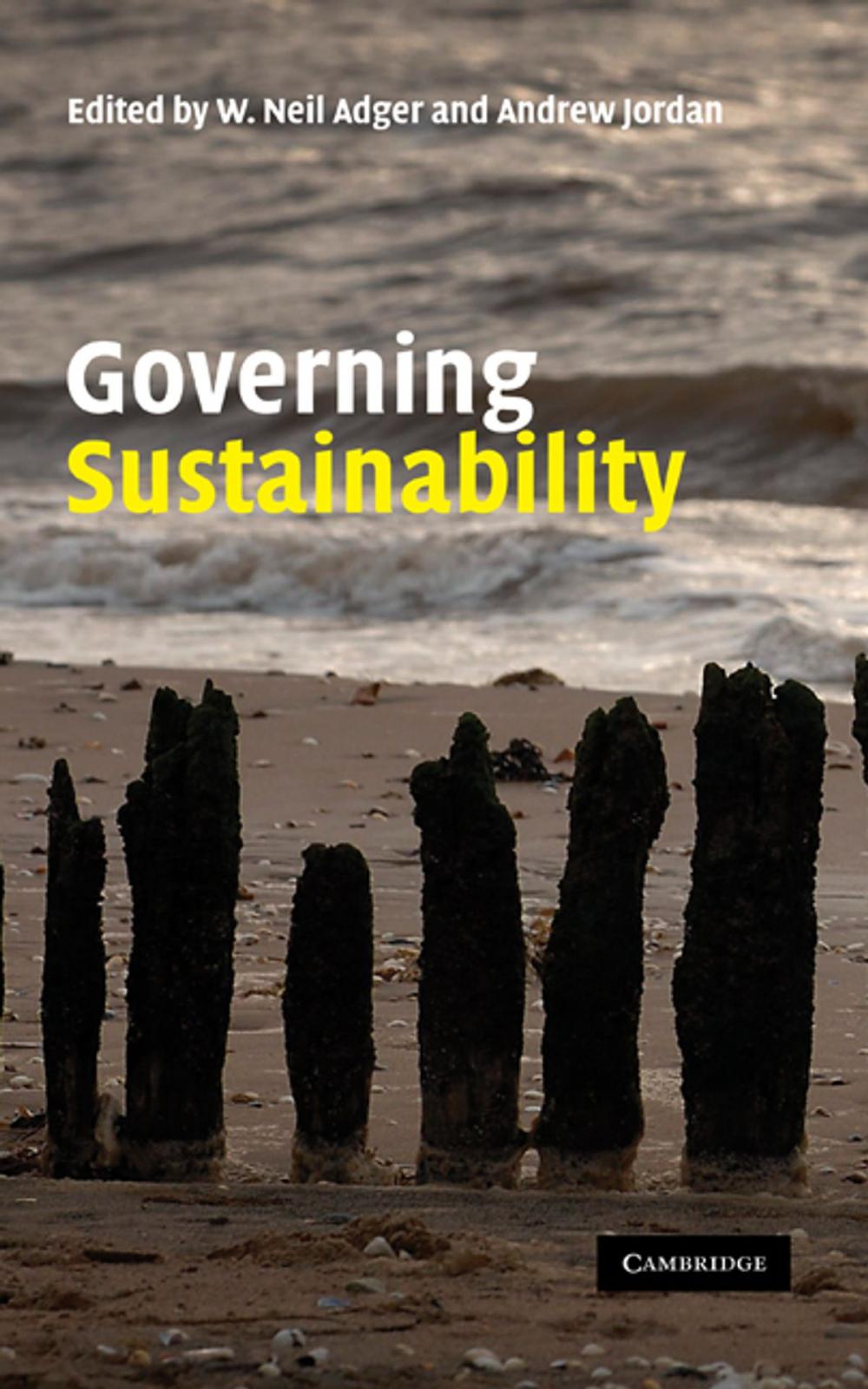 Big bigCover of Governing Sustainability