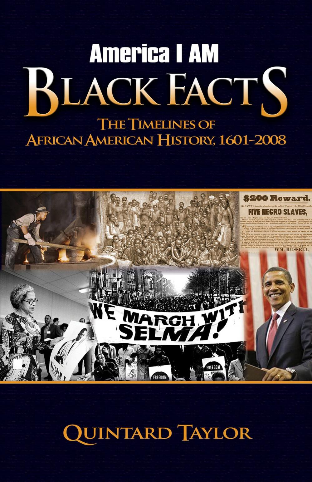 Big bigCover of America I AM Black Facts