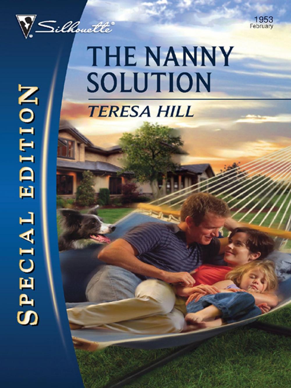 Big bigCover of The Nanny Solution