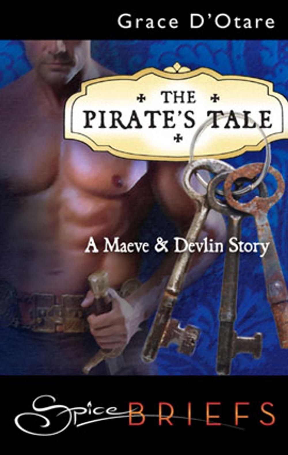 Big bigCover of The Pirate's Tale