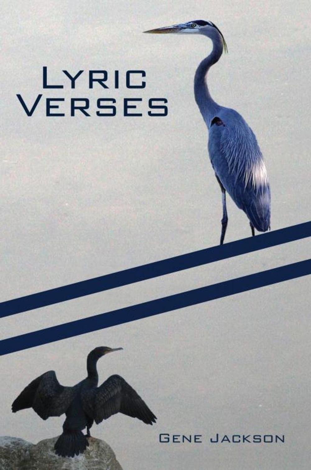 Big bigCover of Lyric Verses