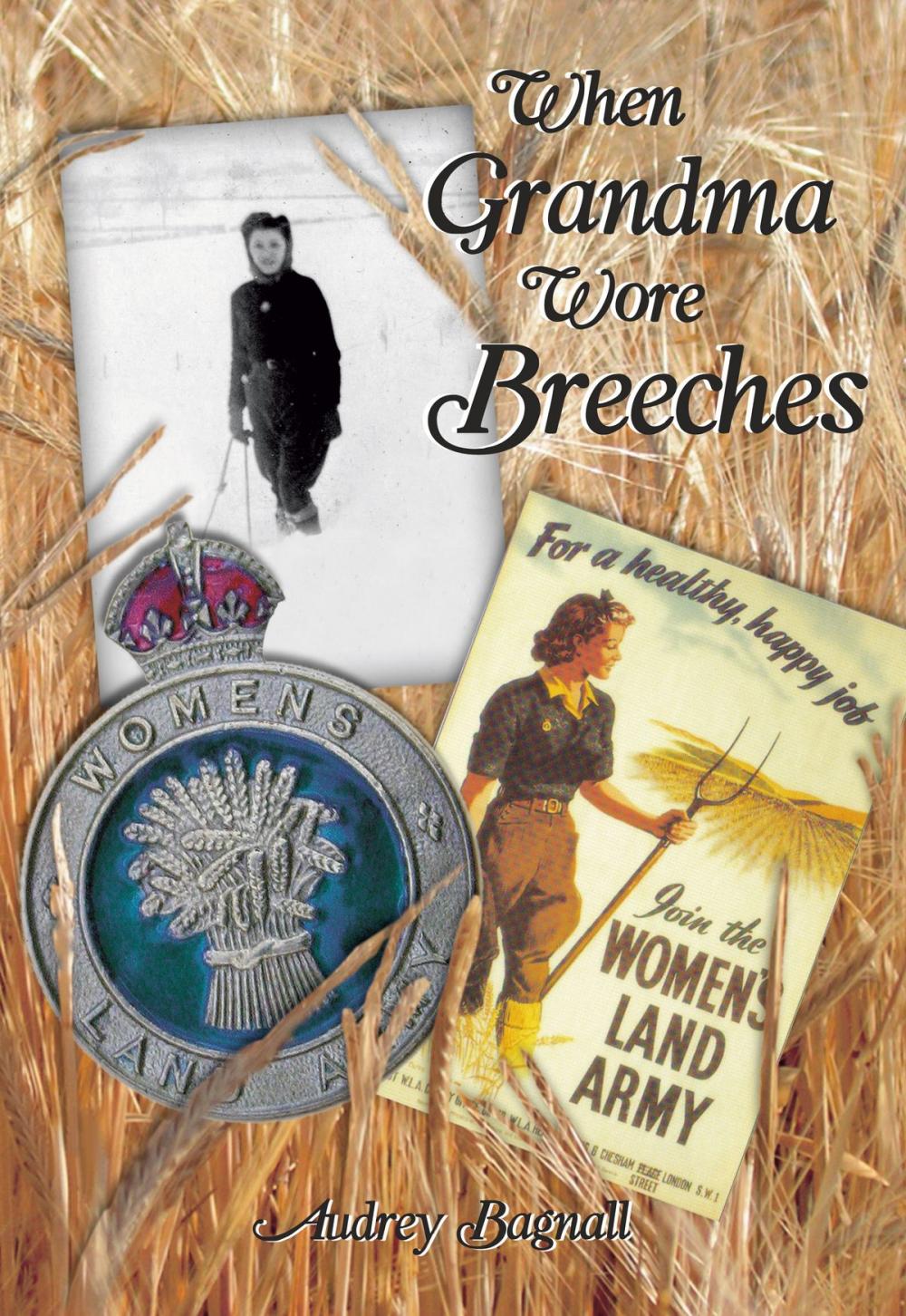 Big bigCover of When Grandma Wore Breeches