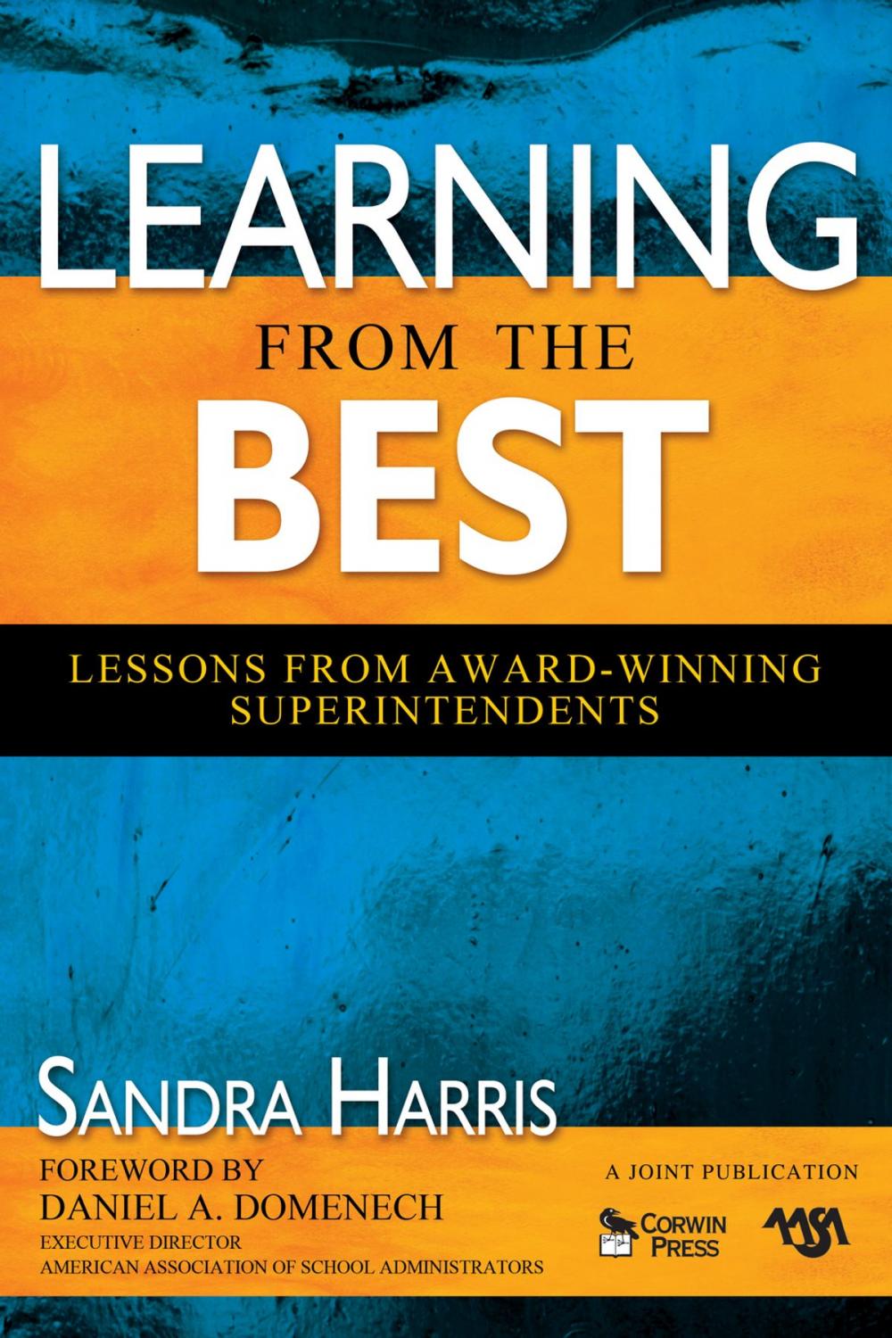 Big bigCover of Learning From the Best