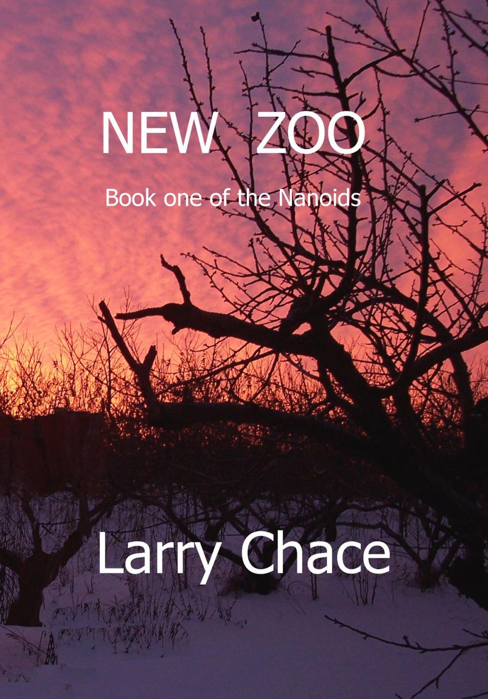 Big bigCover of New Zoo