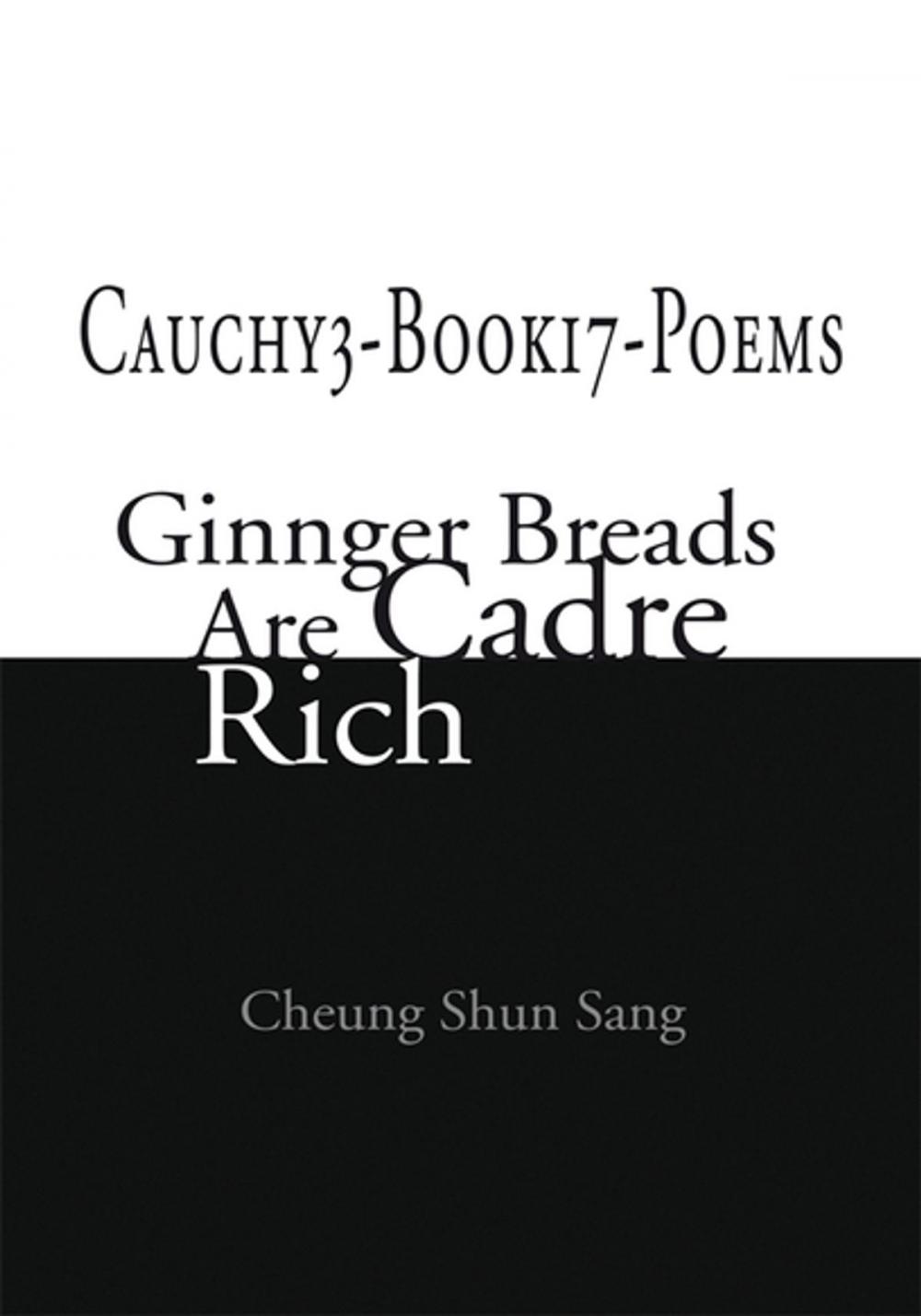 Big bigCover of Cauchy3-Book17-Poems