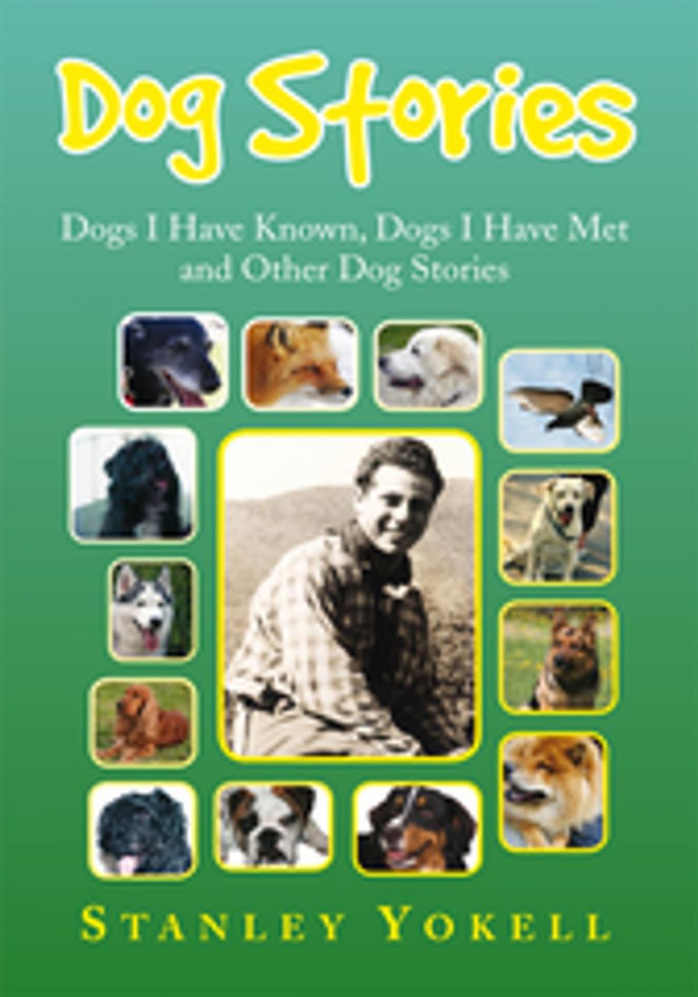 Big bigCover of Dog Stories