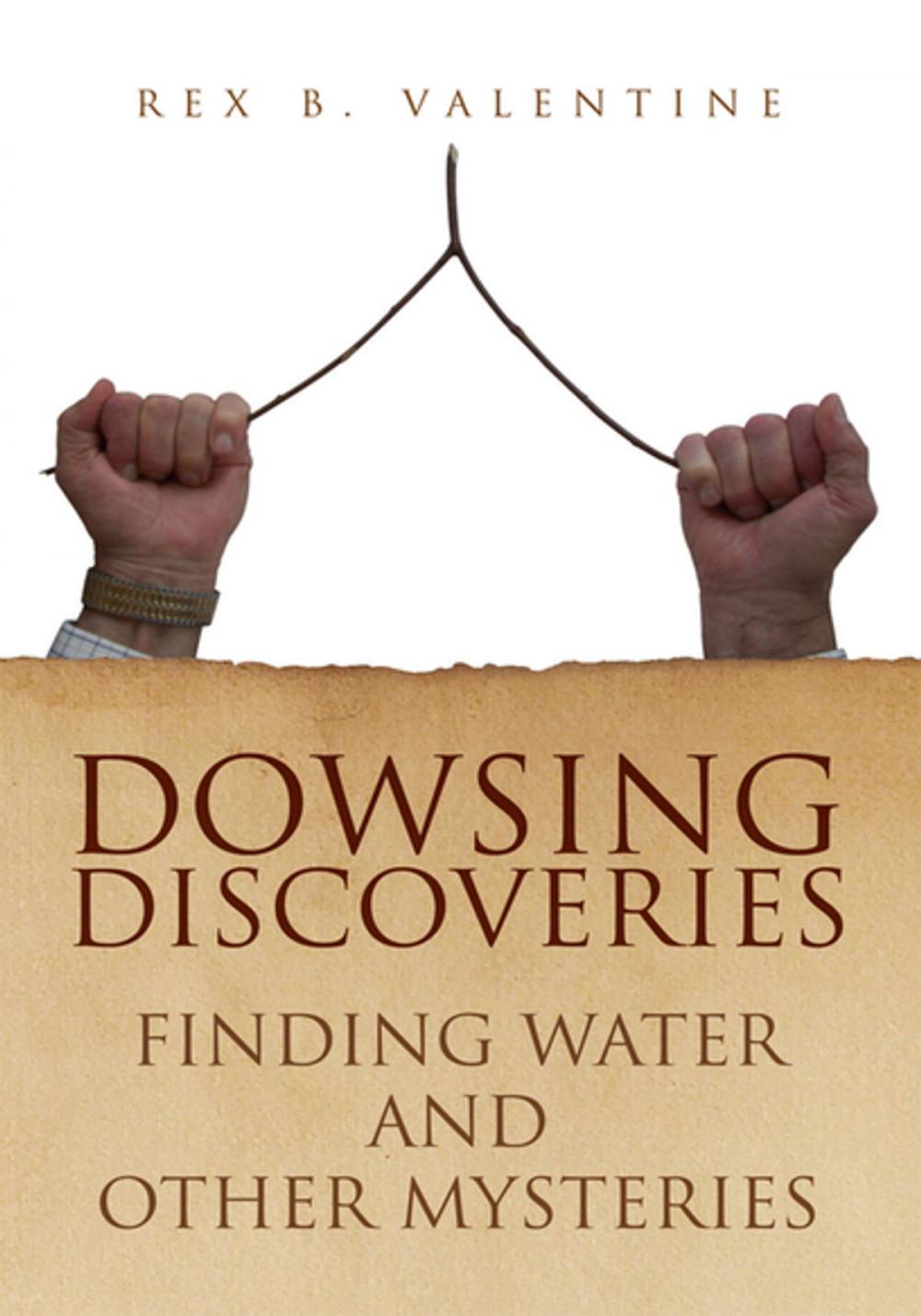 Big bigCover of Dowsing Discoveries