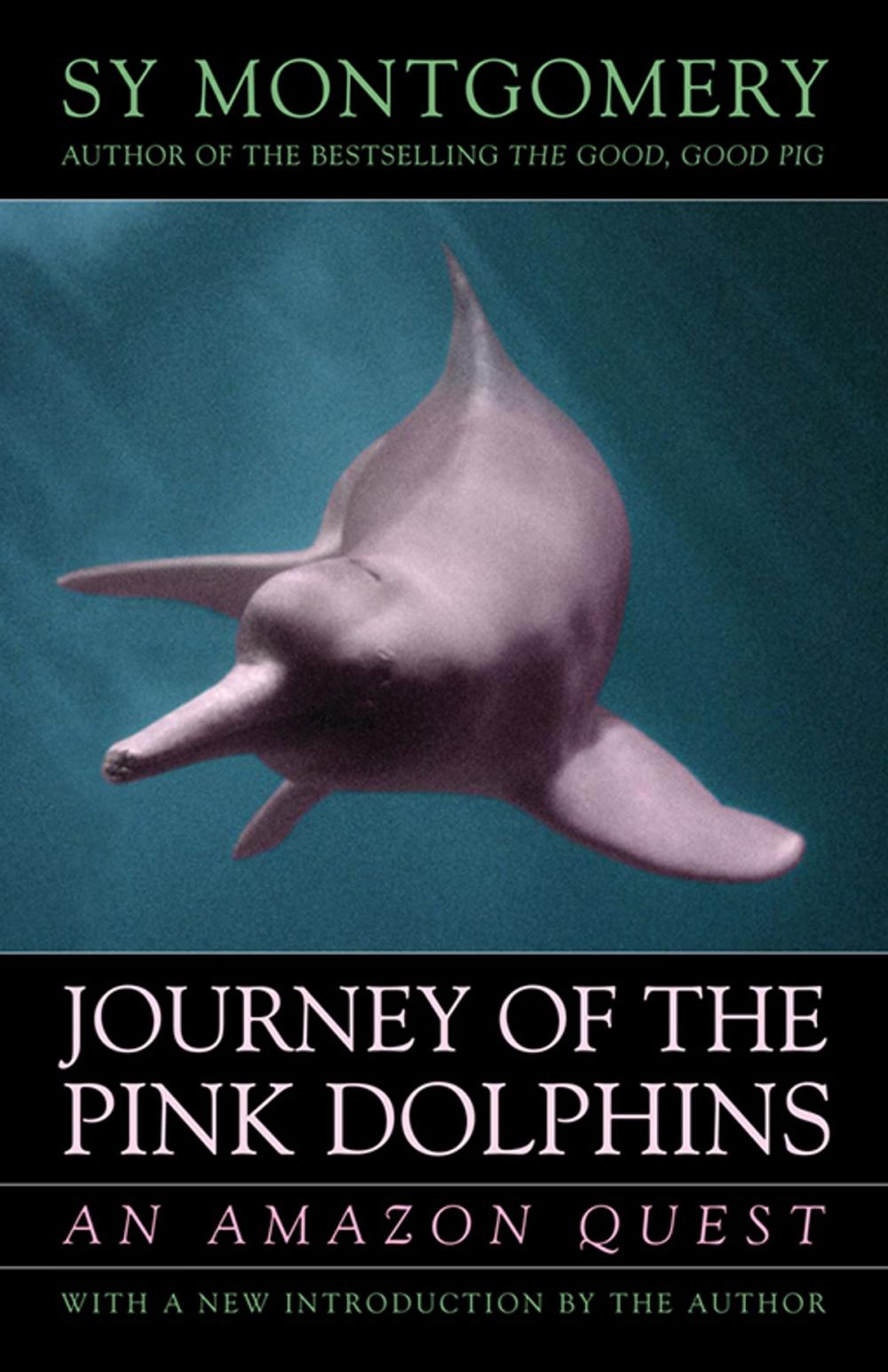 Big bigCover of Journey of the Pink Dolphins